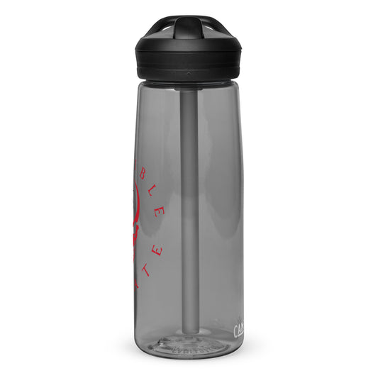 Sports water bottle